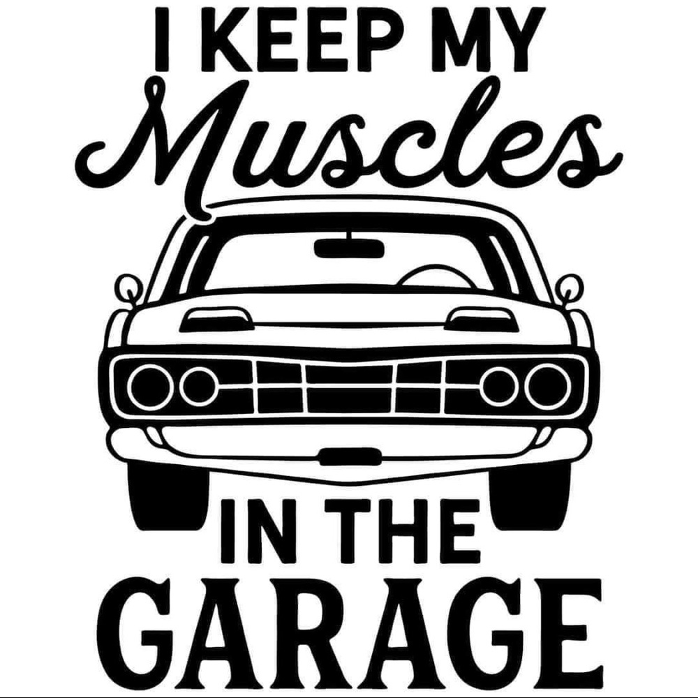 NWT Car guy Decals